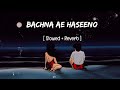 Bachna Ae Haseeno Lofi Song Bachna Ae Haseeno Slowed And Reverb Song Trending Hindi Song
