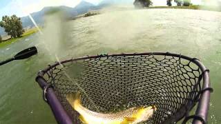 preview picture of video 'Yellowstone River Brown Trout'