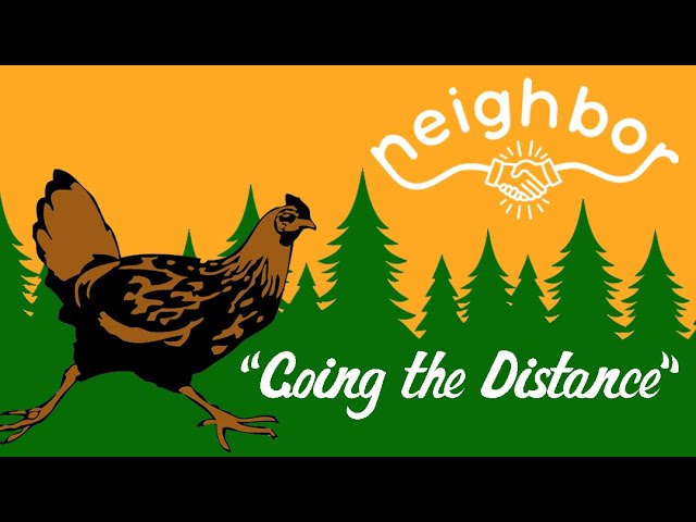 Point of No Return Video