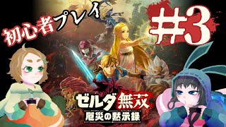 【2人協力】立て直し枠！#3【ゼルダ無双 厄災の黙示録】