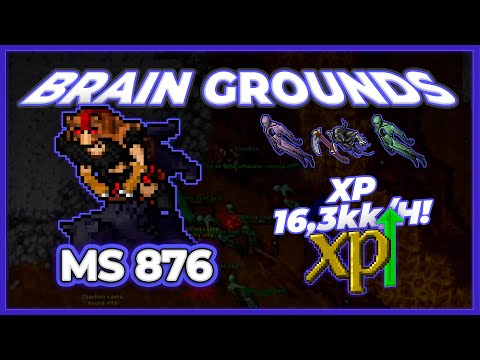 MS 876 Hunt Solo Flimsy Lost Souls (Brain Grounds) 16.3kk/h (225%) - Tibia Hunt #tibia #tibiahunt