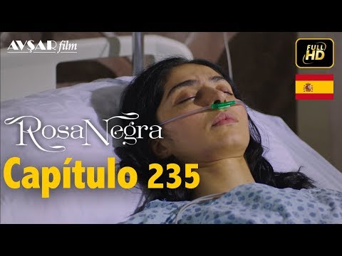 Rosa Negra - Capítulo 235 (HD) En Español