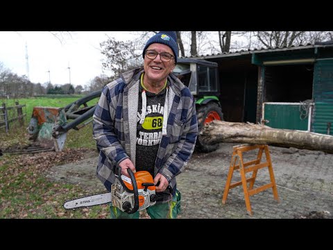 Jahresende: Hier läuft die Nase und mit Glück die Kettensäge!