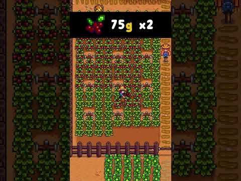 #1 FALL 🍂 TIP FOR AMATEURS & RETURNING PLAYERS | Stardew Valley