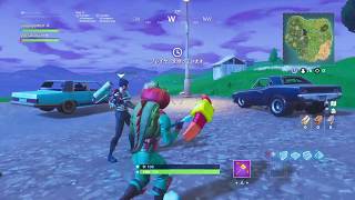 しょうくんと戦闘経験値を貯めるフォートナイト