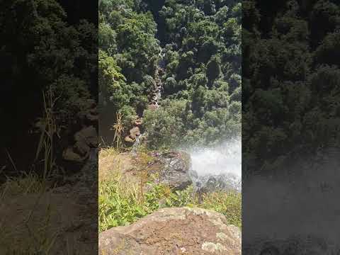 camping 🏕️ Canto da natureza Terra Nova. PR São Jerônimo da Serra