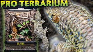 My FISHSCALED GECKOS get a NEW TERRARIUM!|  ALL NEW Exo Terra Pro Terrarium!
