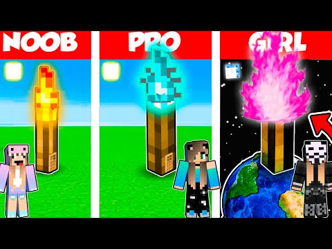 💫Minecraft Battle: TORCH HOUSE BUILD CHALLENGE - NOOB vs PRO vs GIRL / Animation💫