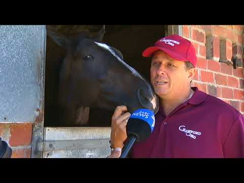 Sun Met takes place at Kenilworth Race Course on Saturday