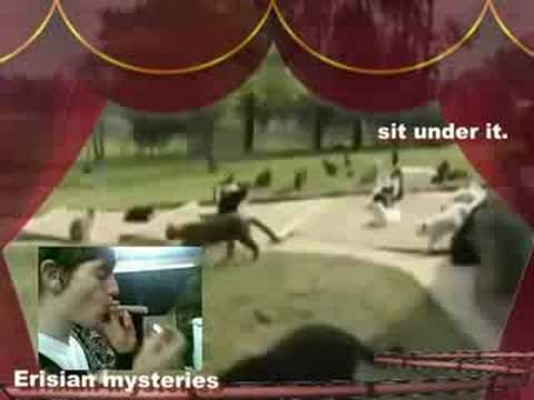 A Better Place for Cats: An Erisian Mystery