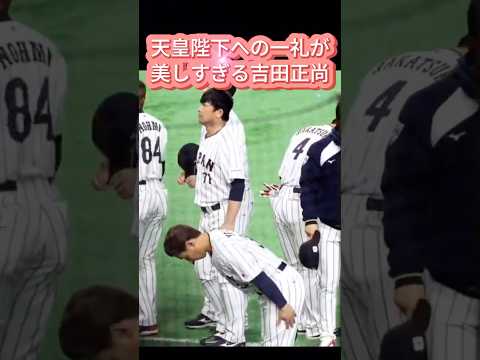 天皇陛下への一礼が美しいと話題の吉田正尚 #野球 #WBC #吉田正尚