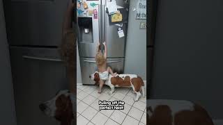 Miniature vidéo