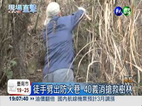 台大實驗林大火 國寶杉燒成木炭