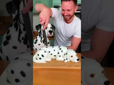 Cutting the cake scared the dog #dog #funny #fyp