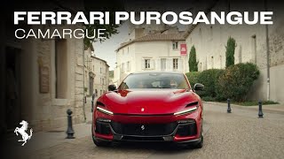 Ferrari The Purosangue - an experience unlike any other