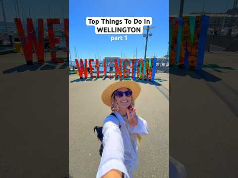 Top Things To Do In WELLINGTON 🤩 🇳🇿