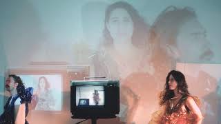 Pavo Pavo - Goldenrod