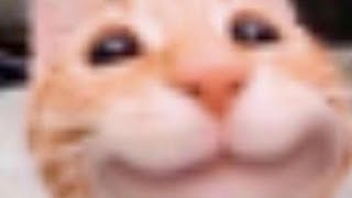 Cover art for SING A SONG, SING ALONG