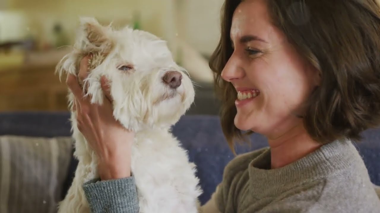 Puppy Love:  How Dogs Show Affection
