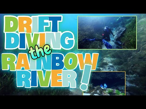 Drift Diving the Rainbow River!