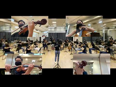 BHSO presents Edward Elgar's Serenade for Strings