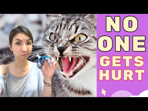 How To Clip Cat Nails Alone (Difficult Cat)