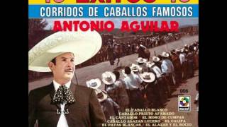 Antonio Aguilar, El Caballo Blanco.wmv