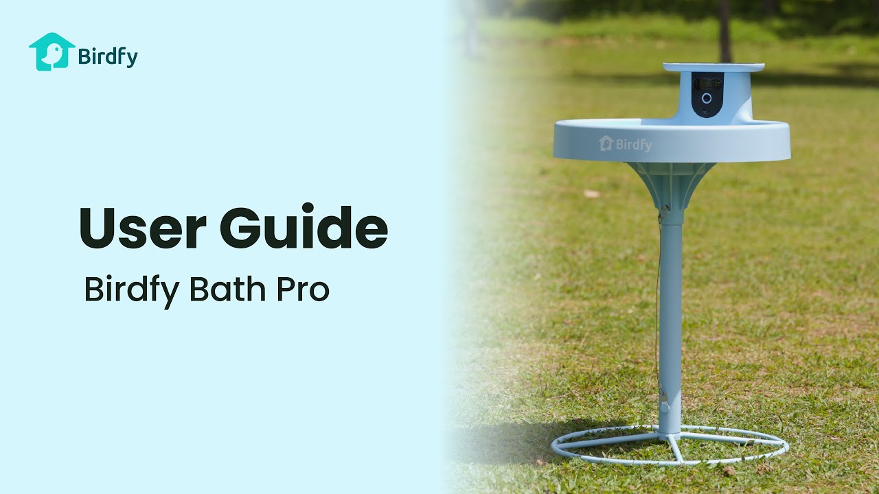 Birdfy Intelligent bird bath with camera Birdfy Intelligent bird bath with camera