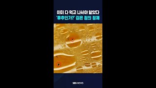 이미 다 먹고 나서야 알았다..'후추인가?' 검은 점의 정체 #shorts