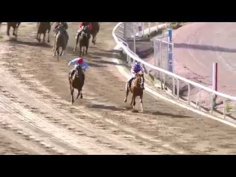 2020.07.12 Svenskt Derby - Bullof Wall Street