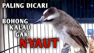 Download lagu PALING DICARI !! Trucukan Gacor Tarung Ropel Panjang Paling AMPUH Untuk Pancingan Agar Bunyi Gacor mp3 Download lagu PALING DICARI !! Trucukan Gacor Tarung Ropel Panjang Paling AMPUH Untuk Pancingan Agar Bunyi Gacor mp3