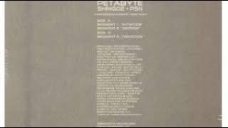 Shing02 + PSN - Segment 3 "Iteration"