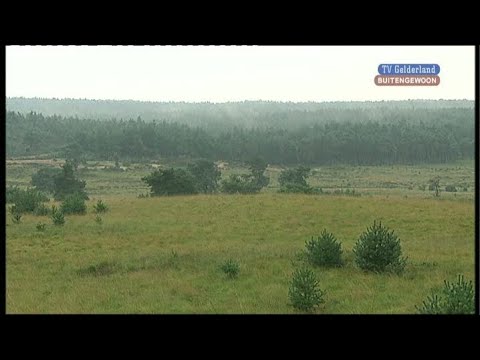 BuitenGewoon 7 september 2010