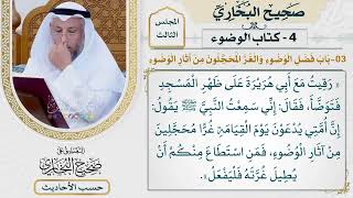 [136] حديث: إن أمتي يدعون يوم القيامة غرا محجلين من آثار الوضوء [كتاب الوضوء]