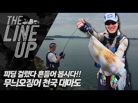 [더라인업] 피딩 타임!! 흔들어 봅시다!! 무늬오징어 ...