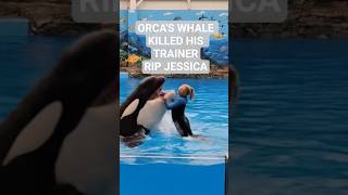 ORCA'S Whale Killed His Trainer Jessica #whale #jessica #jessicaincident #rip #olympics #shorts