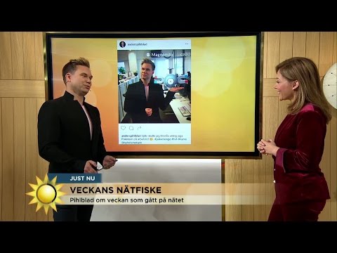 Veckans Nätfiske - Nyhetsmorgon (TV4)