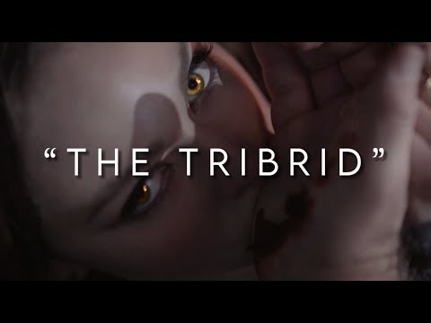 The Tribrid - Hope Mikaelson