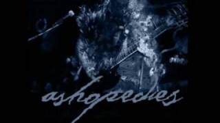 As Hope Dies - Feeding the Broken Words of Hope in Vain