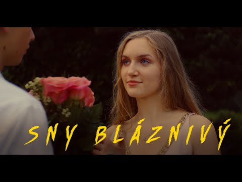 Adéla Zouharová - SNY BLÁZNIVÝ