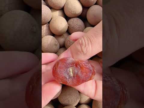 OMG 1 minute 😱 !!