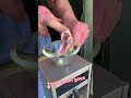 Russell S Viper Venom Extraction To Make Diagnostic Test For Lupus Venomous Snake