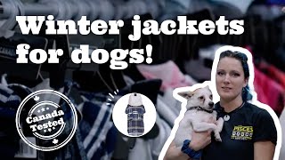 Canada Tested Winter Jackets for Dogs | Pisces pets