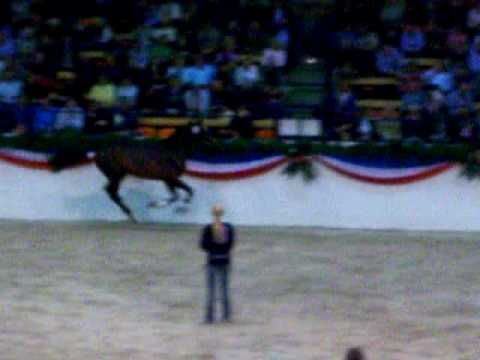 Neumünster 2009 - Free Jumping 5