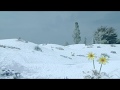 Custom Everything In Teletubbyland Was Covered In Snow Clip 1