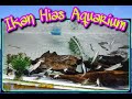 Ikan Hias Chenk's Fish Aquarium