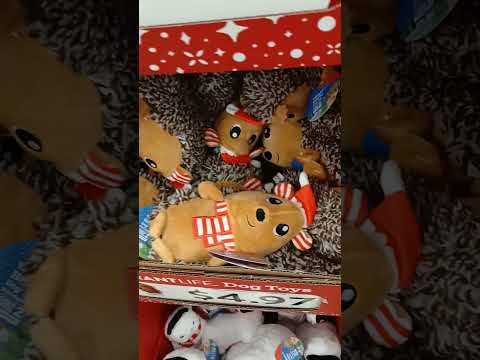 18 de noviembre de 2025