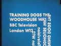 Ytp Blur Used The Time Machine With The Power Of RTR And BBC
