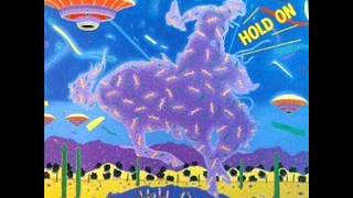 The Nitty Gritty Dirt Band - Oleanna