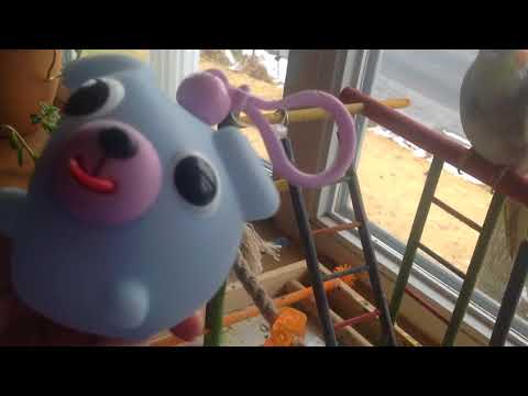 bird reacts to JABBER ball